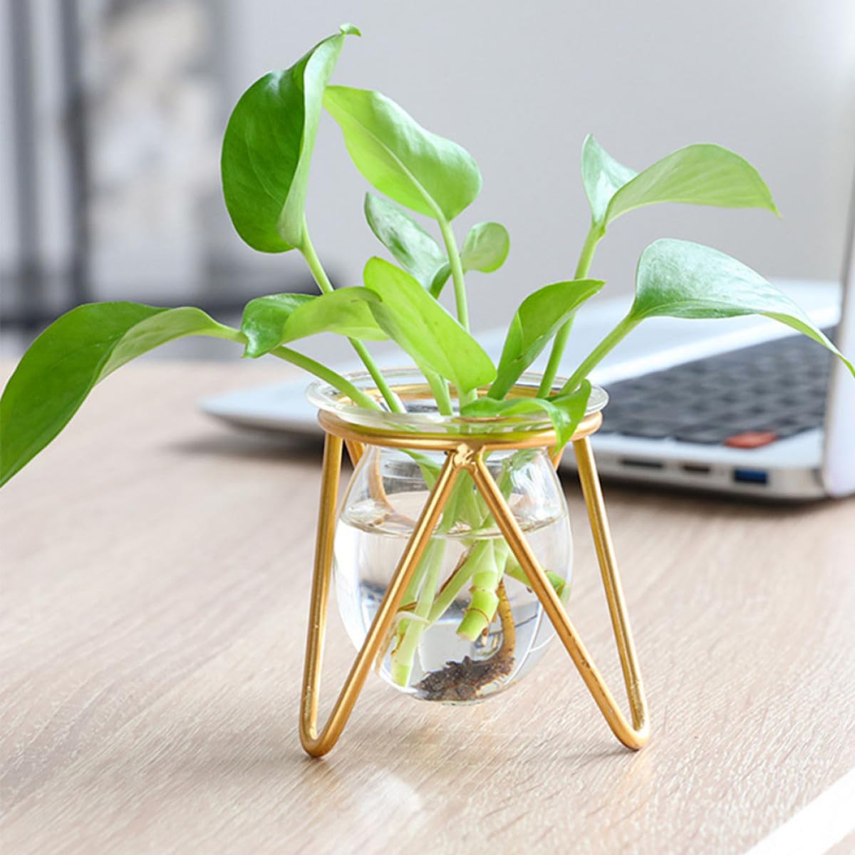 VICASKY Hydroponic Glass Plant Container with Metal Stand, Small Gold Desktop Flower Vase for Air Plants and Terrarium Décor, Glass Hydroponic Pot for Wedding and Office Use