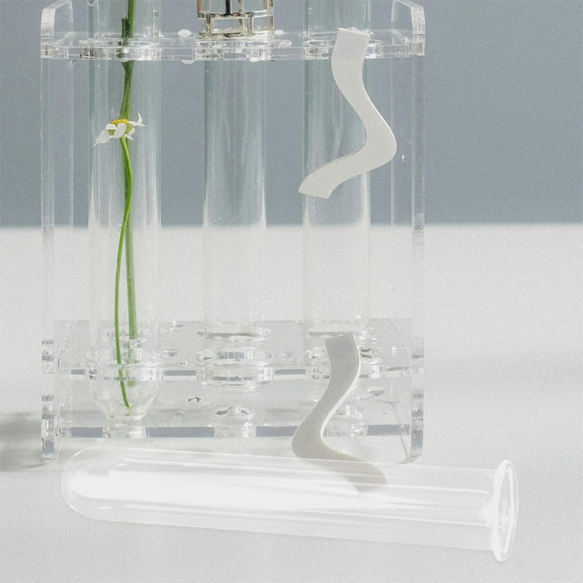 Healvian 4pcs Glass Propagation Test Tube Vases Hydroponic Glass Plant Holder Tubes for Indoor Flower Display and Terrarium Gardening