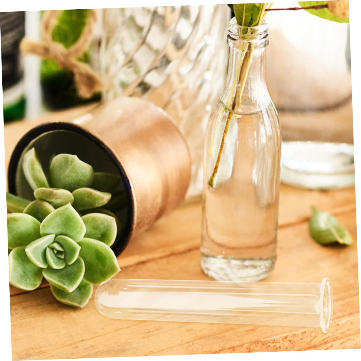 Alipis 5pcs Hydroponic Glass Test Tube Vases for Plant Propagation Transparent Glass Plant Vases for Home and Office Decor Sturdy Wear Floral Water Tubes Multi Use Desk Terrarium