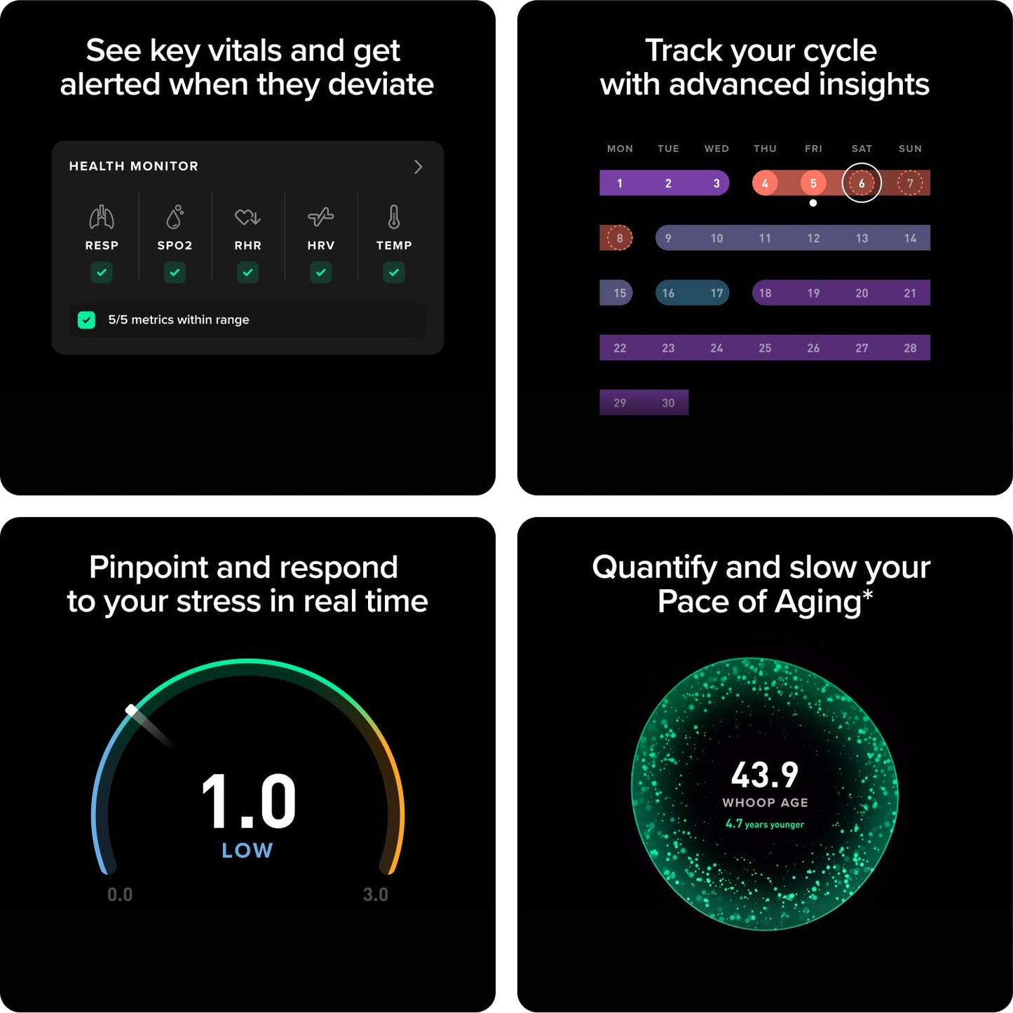 WHOOP Peak Bundle – WHOOP 5.0 Health & Fitness Wearable with 12-Month Membership + SuperKnit Wristband – 24/7 Activity, Sleep, HRV & Stress Tracker with Healthspan Insights – Midnight
