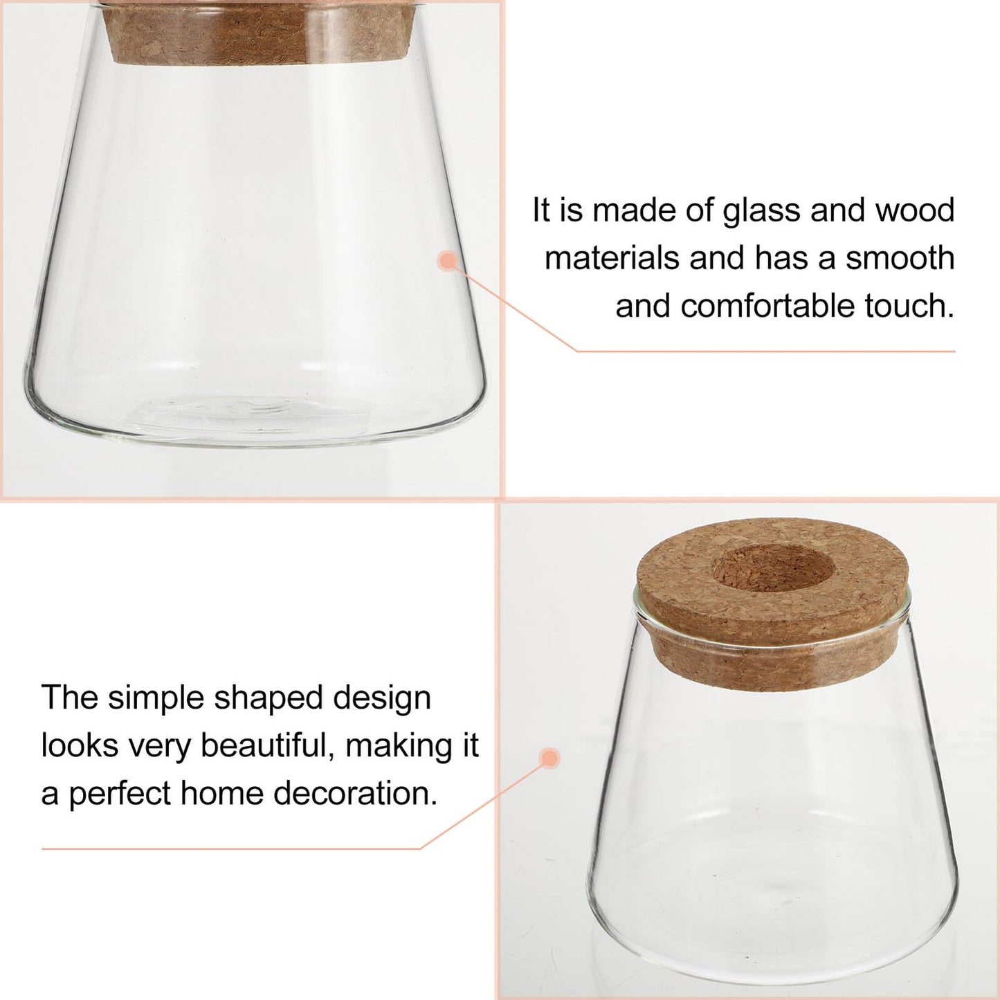 Homoyoyo 2pcs Glass Hydroponic Plants Vase Small Terrarium Flower Pots Desktop Water Planting Decoration for Home and Office