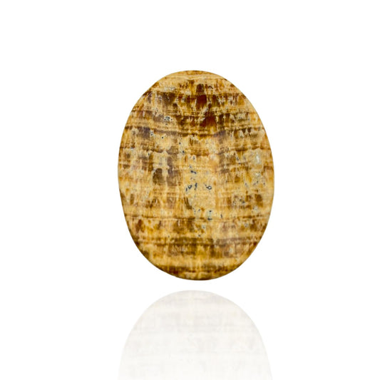 GEMSCITE Aragonite Thumb Worry Stones Metaphysical Gemstone Crystal Healing Reiki Men Women Gift FENG Shui Positive Energy Love Wellness Palm Stones Wicca Powerful
