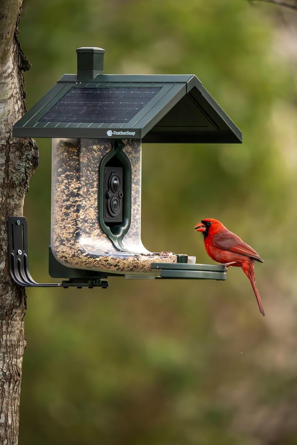 Feathersnap Smart Birdfeeder with AI Identification and Wi-Fi Solar Powered, Captures HD Pictures and Videos Sent Directly to Your Phone (Bird Feeder & Starter Kit)