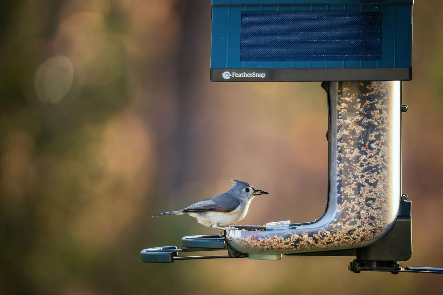 Feathersnap Smart Birdfeeder with AI Identification and Wi-Fi Solar Powered, Captures HD Pictures and Videos Sent Directly to Your Phone (Bird Feeder & Pole)