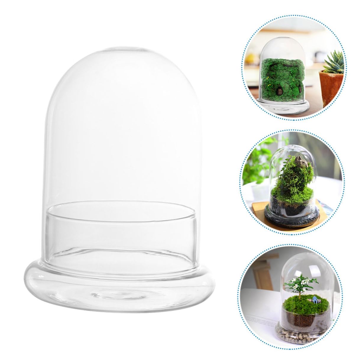 Sosoport Glass Eco Bottle Terrarium Supplies Bell Jar Dome Plant Holder DIY Decor