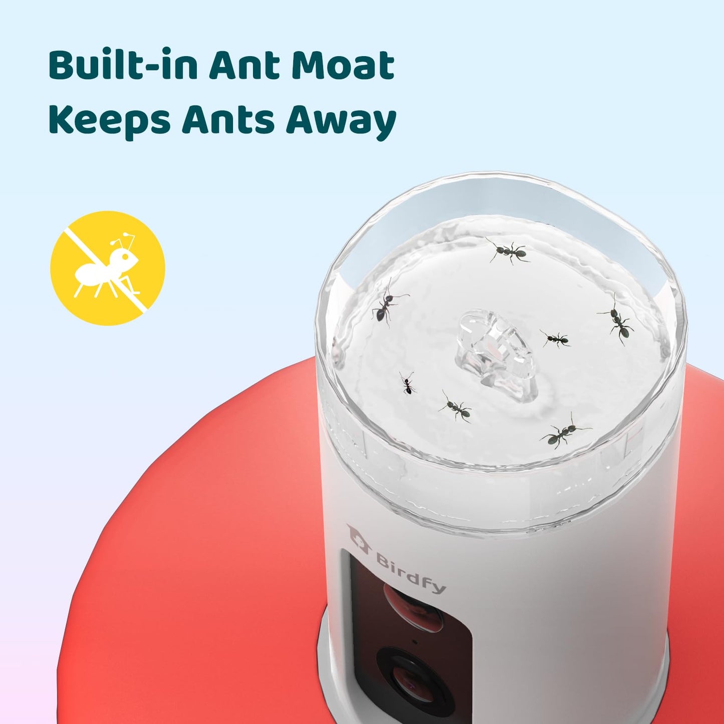 Birdfy Smart Hummingbird Feeder with Camera, Auto Detect Record Bird Video, Instant Notification, Live View, Solar Powered Hummingbird Feeders for Outdoors Ant Bee Proof, 14oz, Gift for Bird Lovers