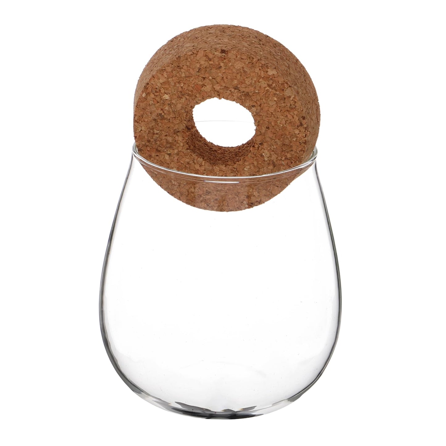 ifundom Creative Hydroponic Glass Vase for Plants Transparent Desktop Propagation Planter Elegant Terrarium for Indoor Greenery Low Maintenance Water Propagation Station for Spaces