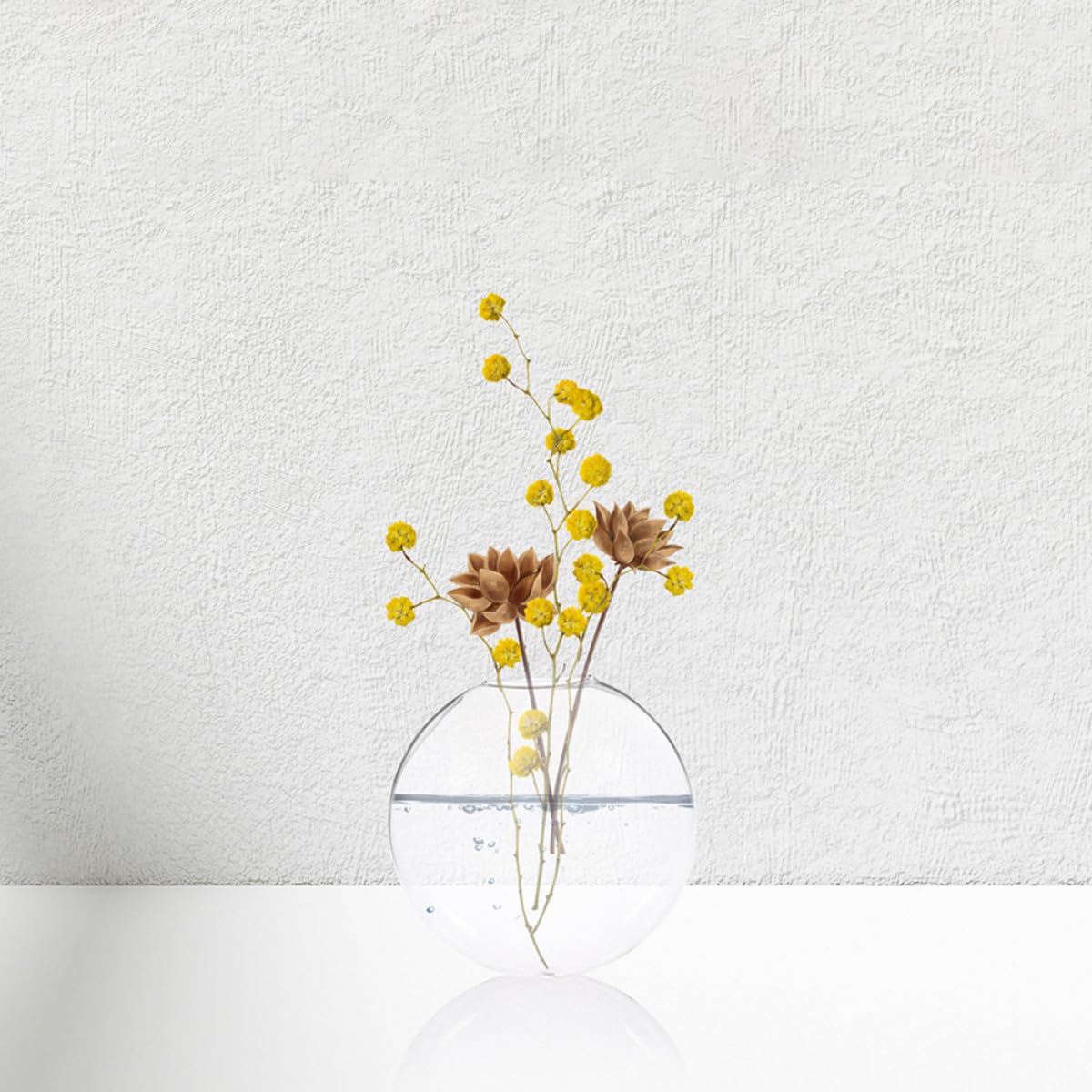 VALICLUD Glass Terrarium Hanging Vase Set, 2pcs Wall-Mounted Glass Containers for Indoor Hydroponic Plants, Decorative Hanging Pots for Home and Office