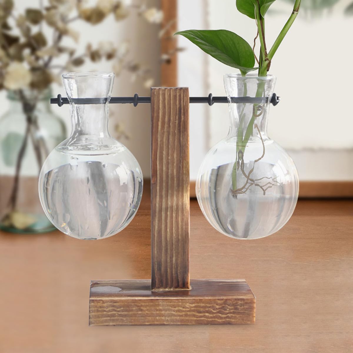 Abaodam 3pcs Hydroponic Plant Vase Glass Propagation Planter with Wooden Stand High Borosilicate Glass Bulb Vase for Desktop Indoor Plant Terrarium Gardening Decor
