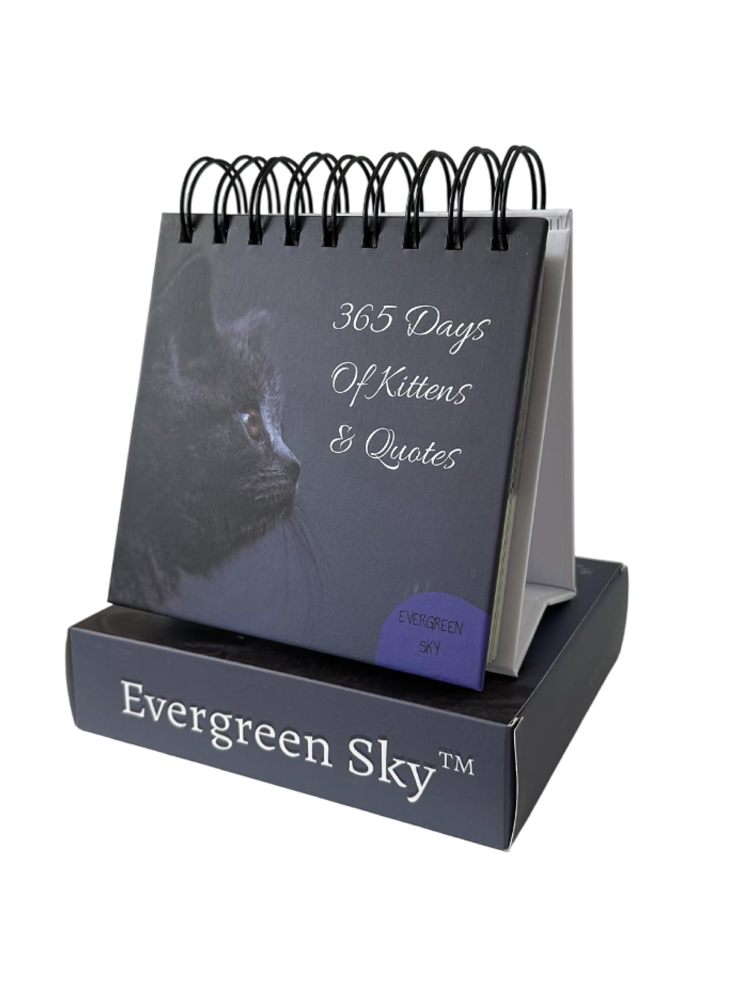 Daily Motivational Cat Calendar – 365 Reusable Quotes & Adorable Cat Photos for Year-Round Positivity – Desk Flip Calendar for Cat Lovers, Cute Animal Enthusiasts, & Motivation Seekers