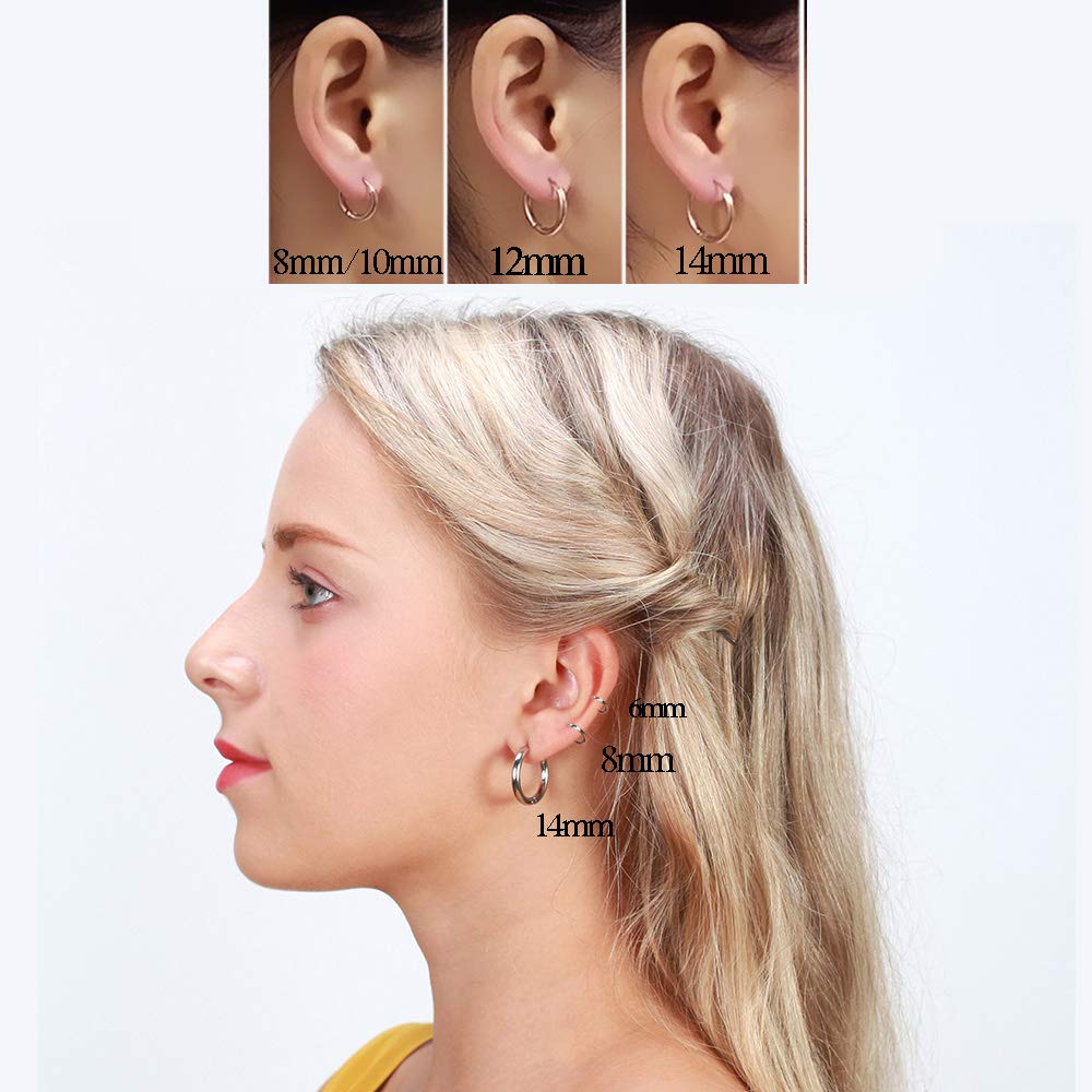 316L Surgical Stainless Steel Huggie Hoop Earrings 8mm Hypoallergenic Earrings Hoop Cartilage Helix Lobes Hinged Sleeper Earrings For Men Women(B07:8mm Rose Gold+Gold+Silver+Black(8Pcs))