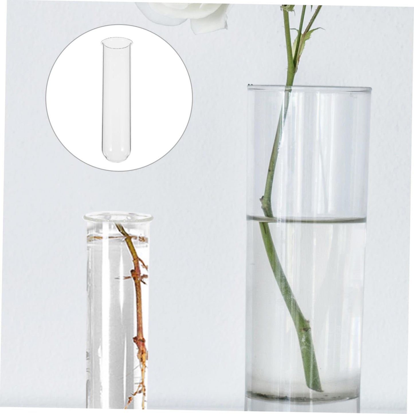 Healifty 4pcs Terrarium Supplies Glass Plant Vase Test Tube Vases for Flowers Plant Propagation Glass Tubes
