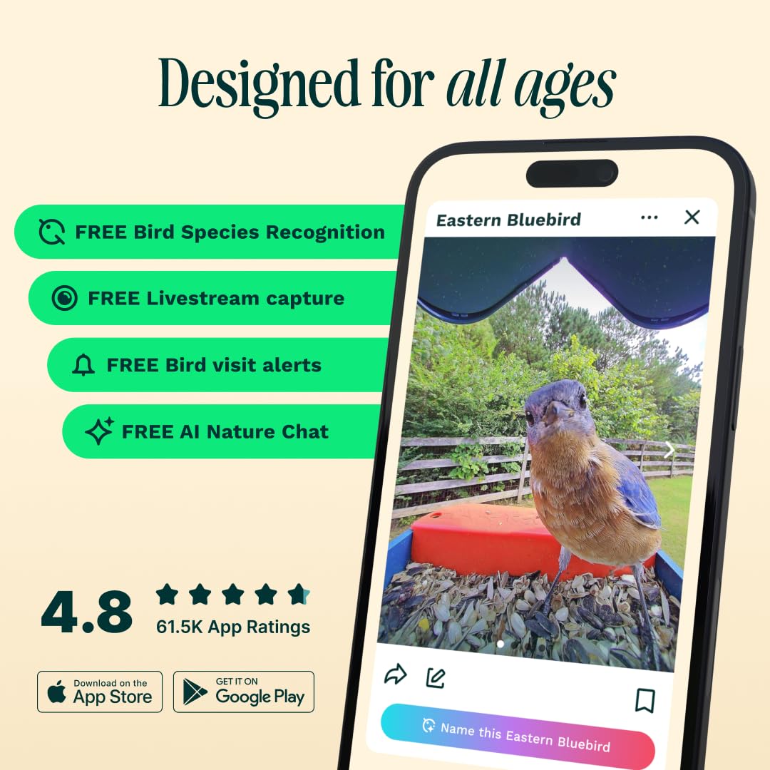 Birdbuddy PRO Non Solar Smart Bird Feeder with Camera - AI Bird Species Identification, 5MP Photos, 2K HD Video Live Stream Camera, Slow-Motion Video, 2.6in Focus - Blue - Non Solar