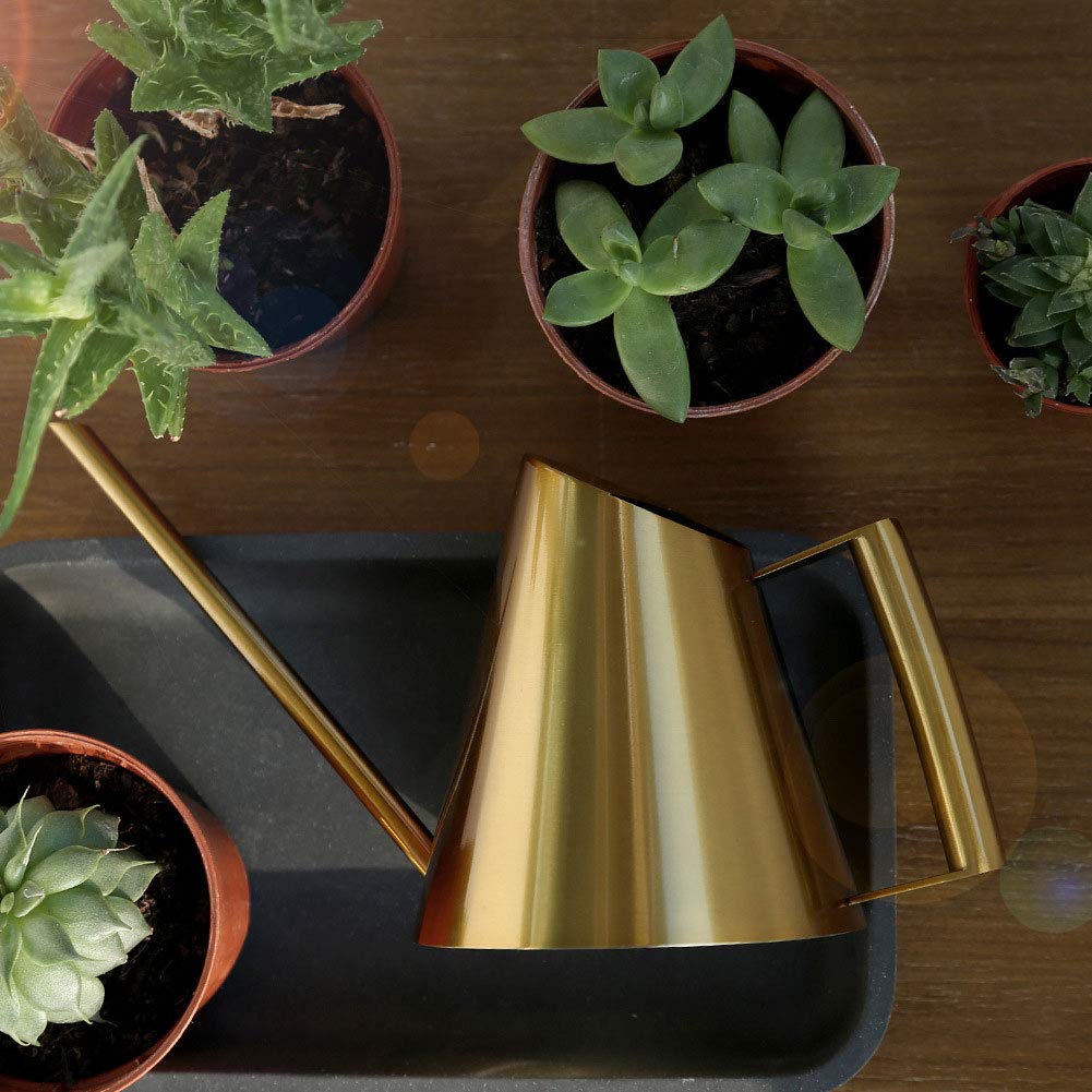 Fdit Stainless Steel Watering Can with Long Spout Steel Plant Waterer Watering Pot Sprinkle Pot Garden Flowers Plants Flower Tool(1500ml)