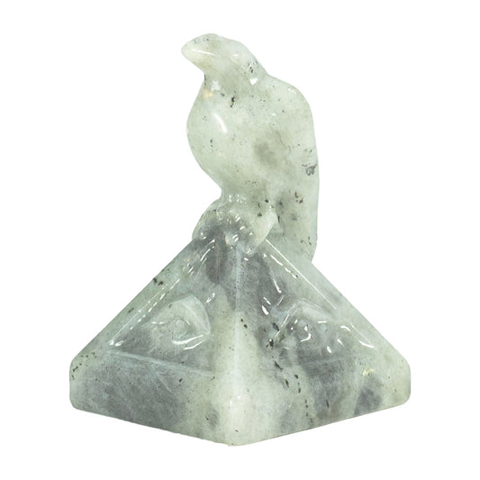 DZJXBZhu Natural Moonstone Creative Raven Figurines Halloween Skull Sculpture Statue Shelf Mantel Display Spooky Home Decorations Tiered Tray Decor Coffee Table Centerpieces Gift Collection