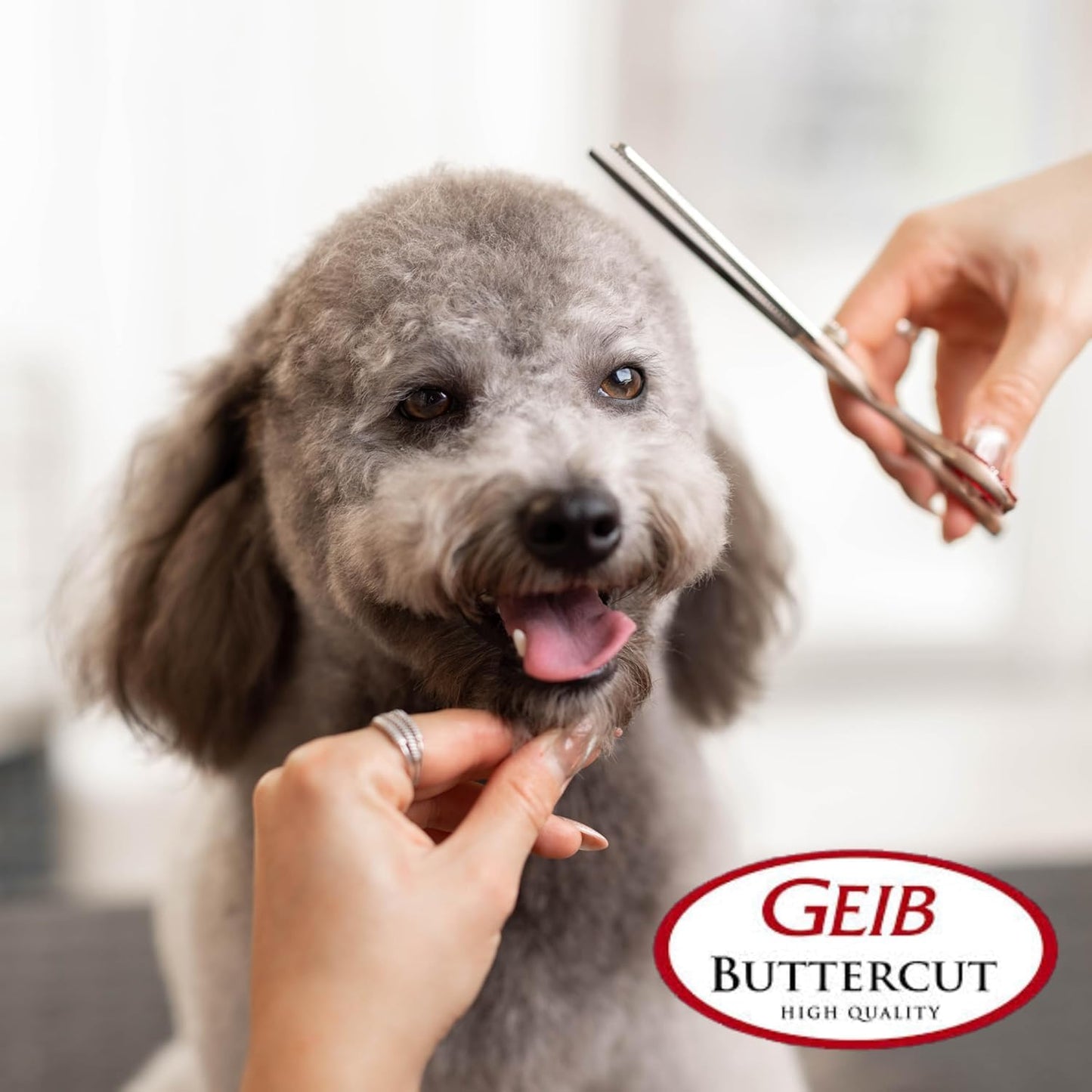 Geib Buttercut Dog Grooming Scissors, Stainless Steel Professional Dog Grooming Kit - Curved, Straight and Thinning Shears, 3 in 1 pet grooming kit