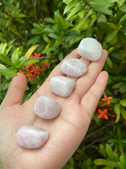 GAF TREASURES 5 Pcs Kunzite Tumbled Stones, Polished Natural Kunzite Gemstone, Kunzite Healing Crystals (Kunzite)