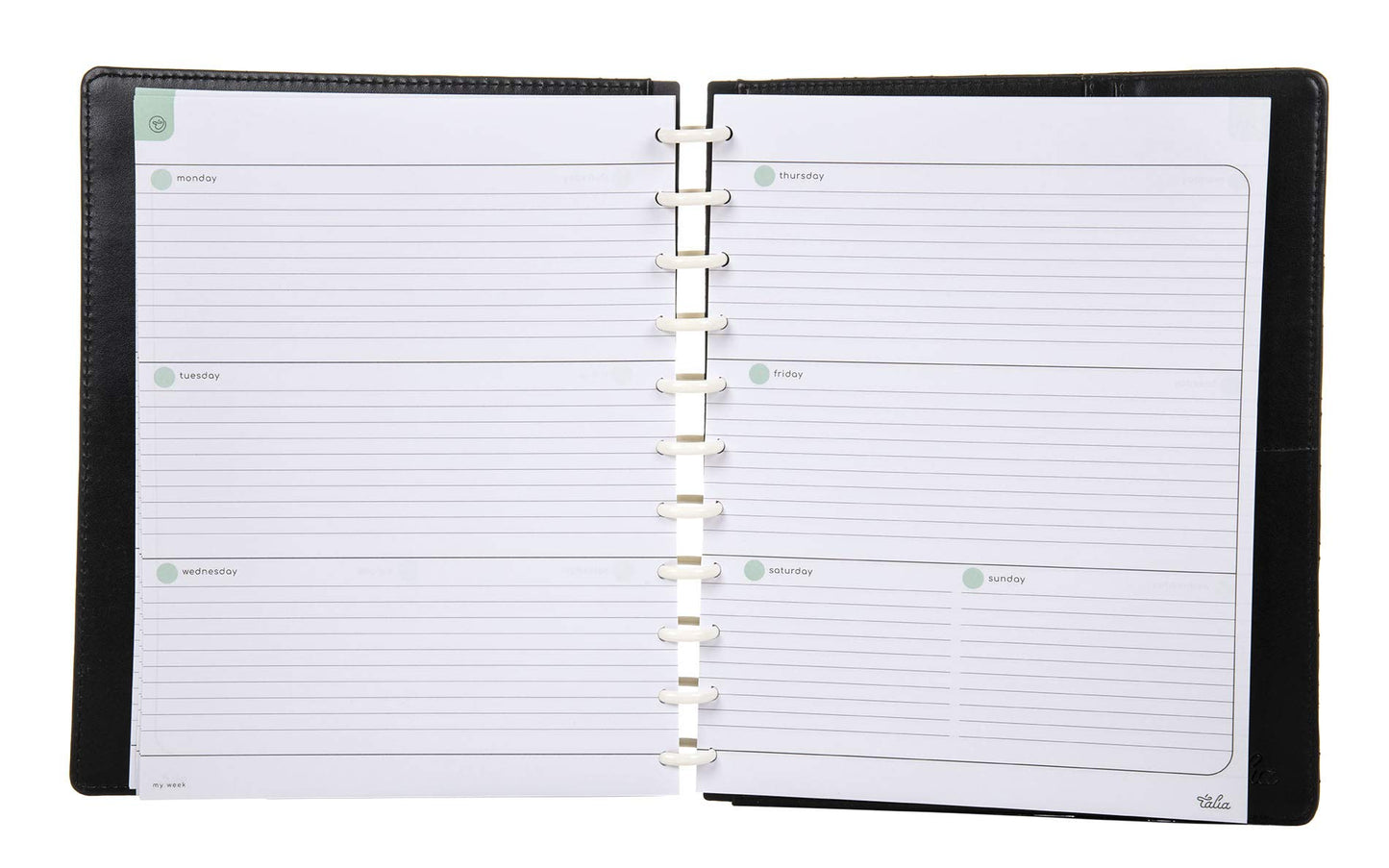 Talia Discbound Notebook Refills (Horizontal Undated Layout, Letter (8.5in x 11in))