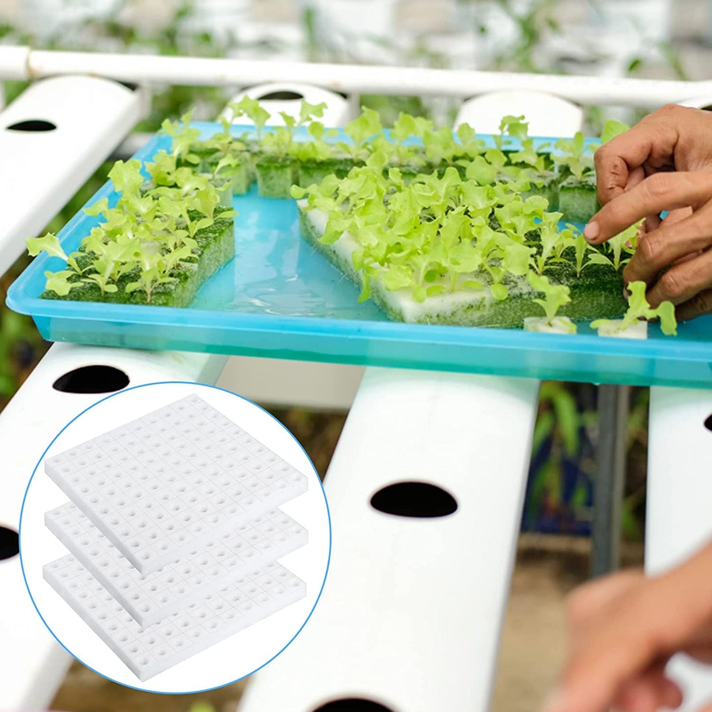 XIDAJIE 600 Pcs Hydroponic Sponges Planting Gardening Tool Soilless Cultivation Seedling Sponges Cultivation Sponge Greenhouse for Small Bud Growth & Grow Seedlings