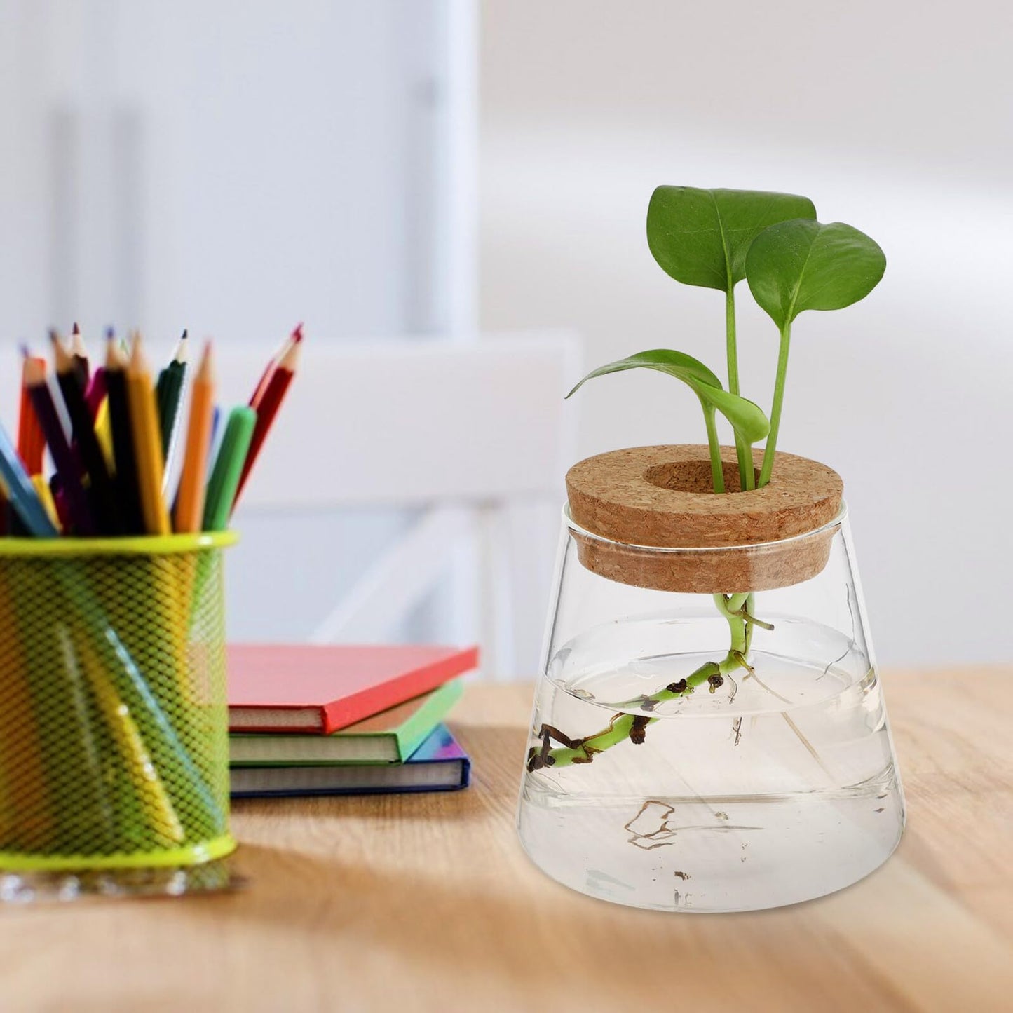 GRIRIW 2pcs Hydroponic Plants Vase Glass Planter Small Desktop Terrarium Container for Water Plant Propagation Home Office Décor