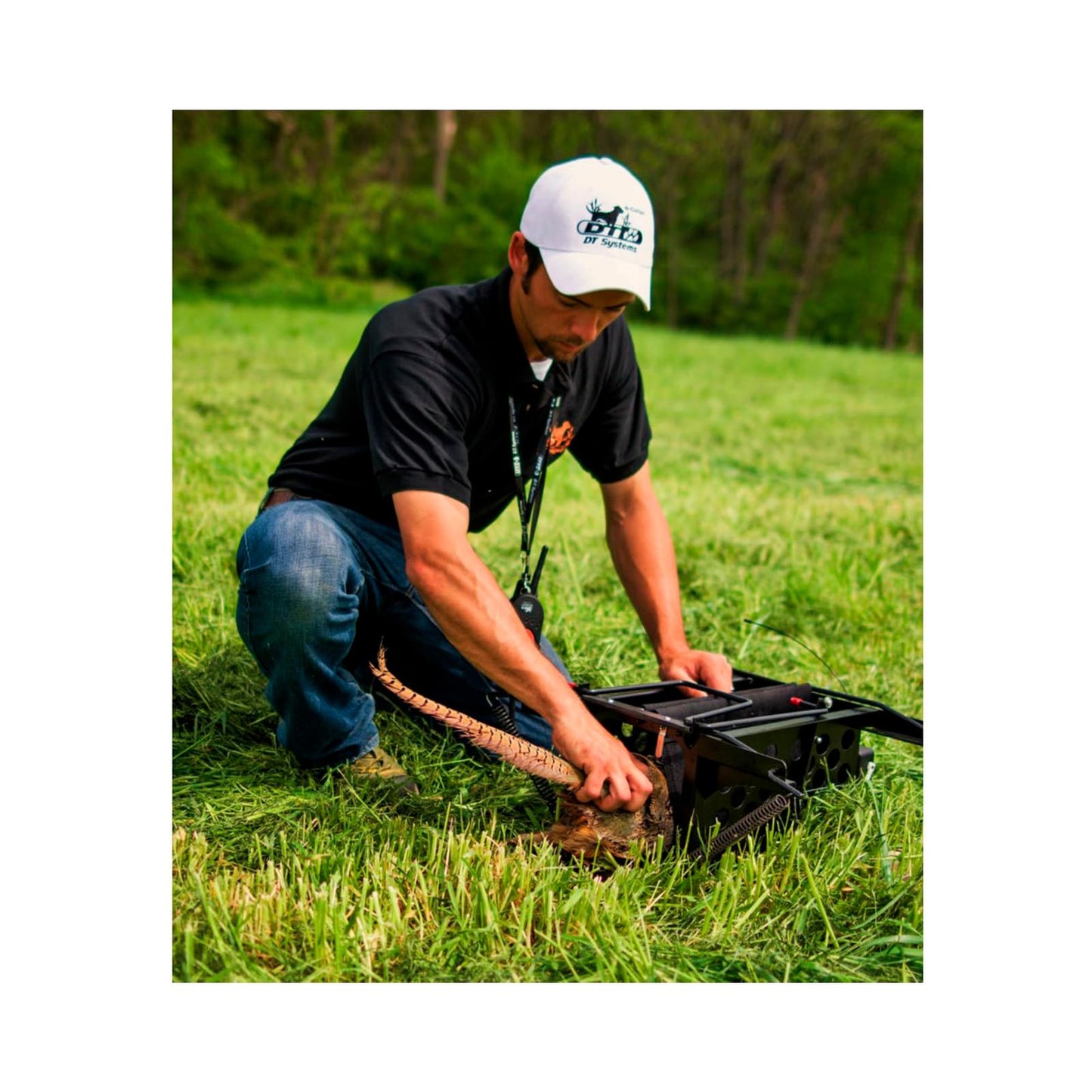 DT Systems 700 Series Remote Bird Launcher for Pheasant and Duck Sized Birds