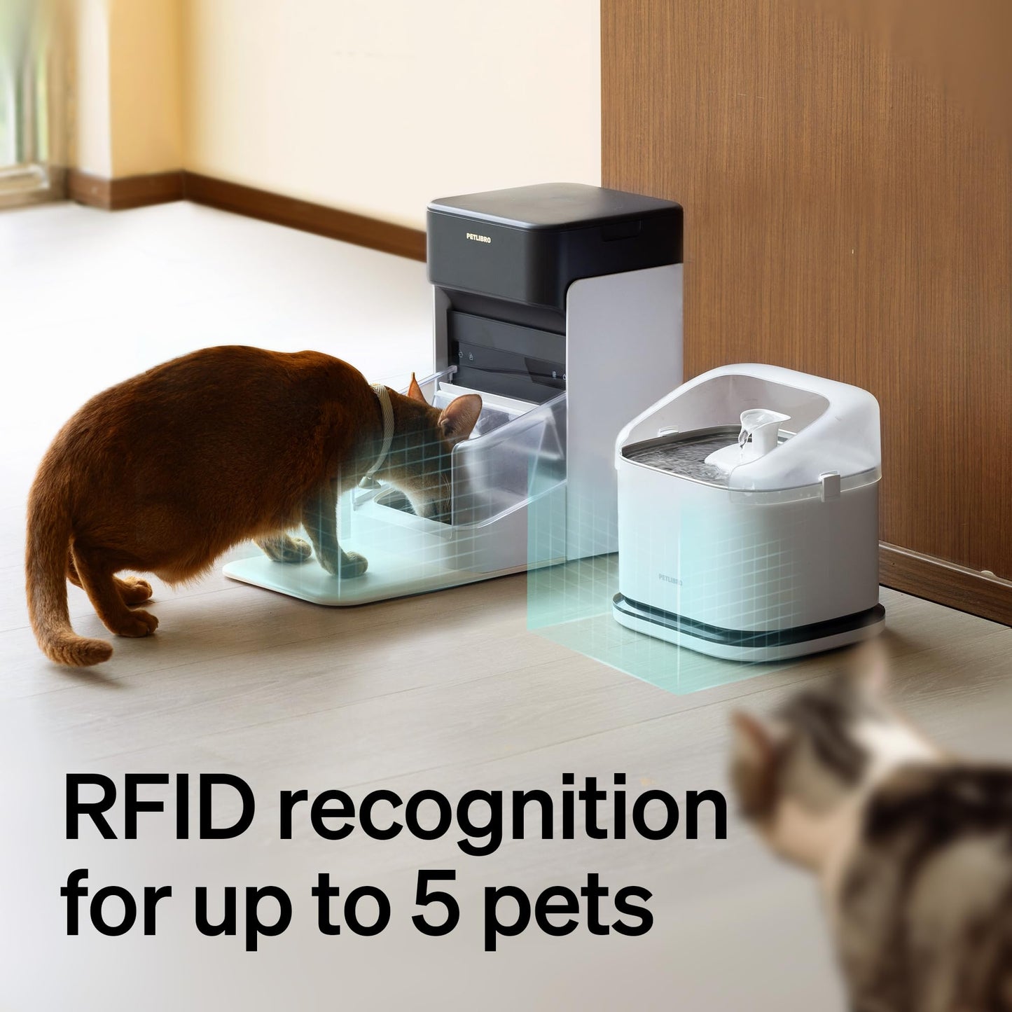 Bundle of PETLIBRO RFID Smart App Cat Water Fountain 2.4G Wi-Fi, 101oz/3L Fountain with Collar Tag+PETLIBRO Upgraded RFID Automatic Cat Feeder, 5G Wi-Fi Pet Feeder, 3L Feeder with Collar Tag,