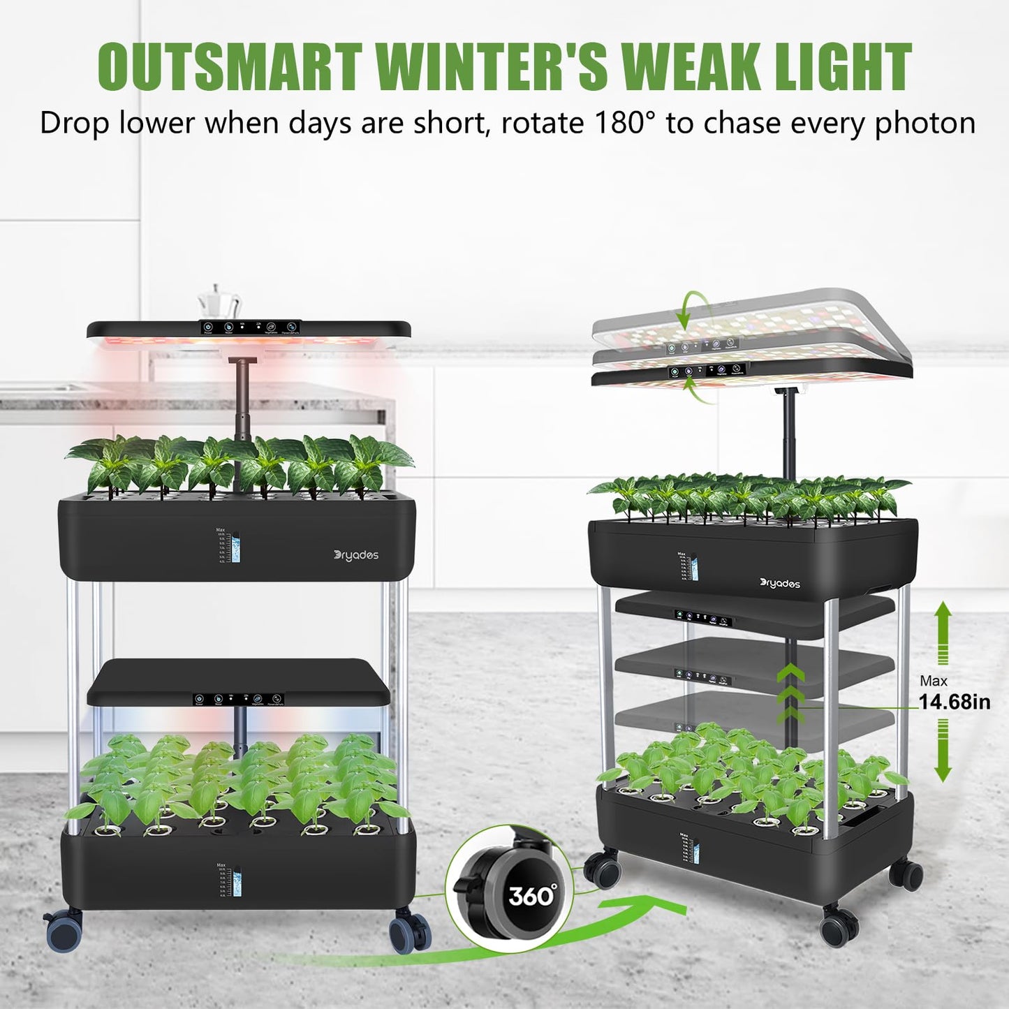 DRYADES 44-Pod Indoor Hydroponic Growing System + 3 Free Seeds Starter Kit (Lettuce, Salad Mixed, Basil Seeds) – Dual 53W Full-Spectrum LED, 10-L Water Tank, 2-Tier Grow Pods (44 Pods)