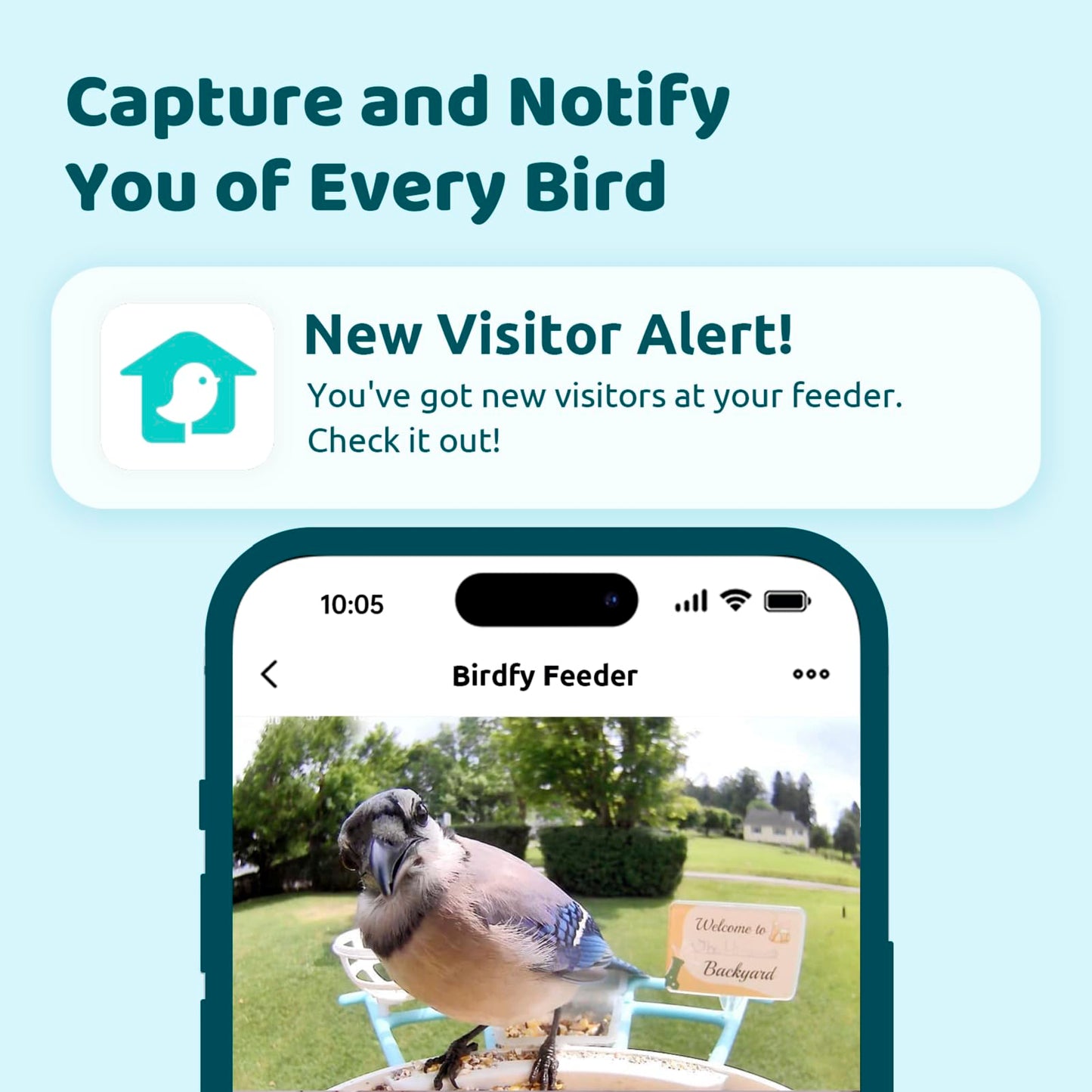 NETVUE by Birdfy Smart Bird Feeder with Camera & Shield