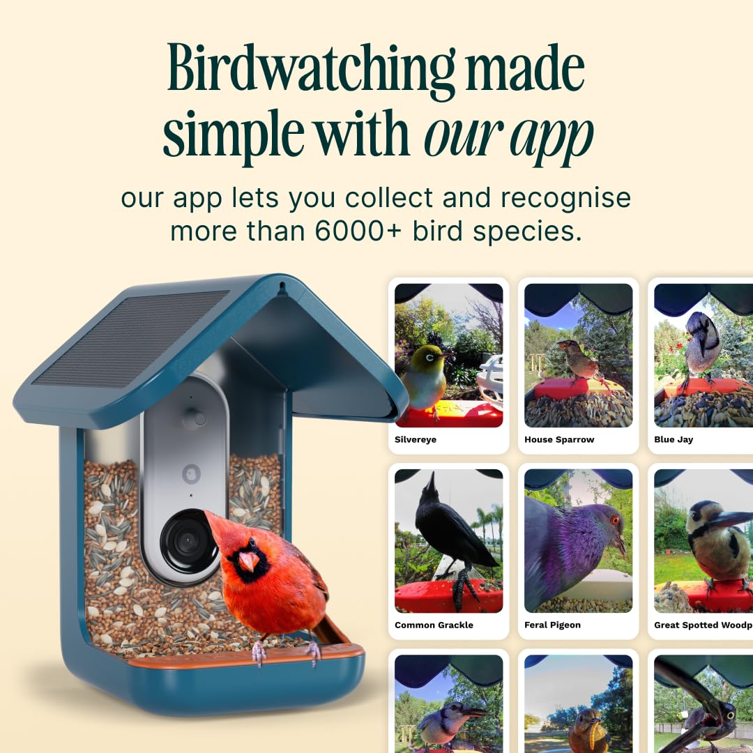 Birdbuddy PRO Non Solar Smart Bird Feeder with Camera - AI Bird Species Identification, 5MP Photos, 2K HD Video Live Stream Camera, Slow-Motion Video, 2.6in Focus - Blue - Non Solar