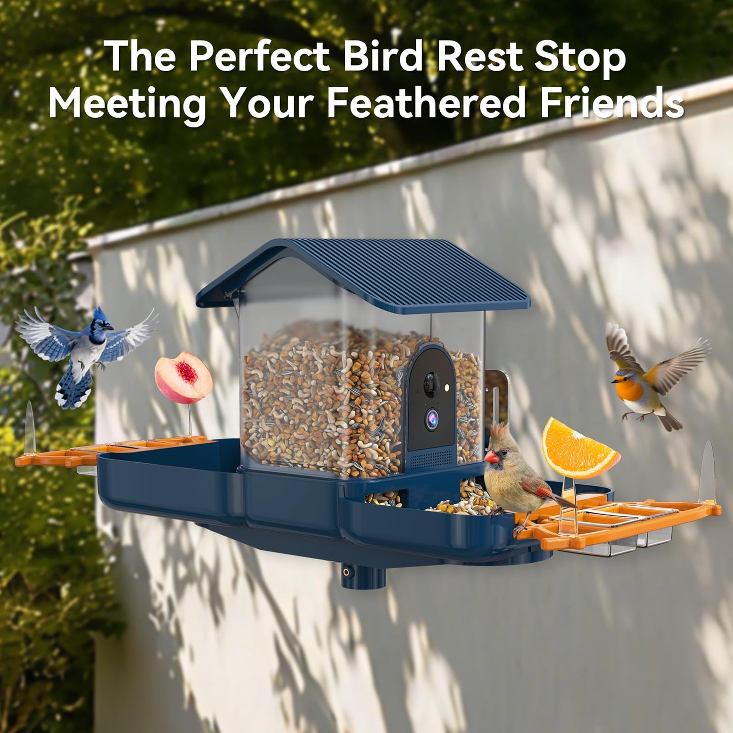 KUIKEO Dual-Lens Bird Feeder with Camera & Bird Bath Combo, Watch Birds Eat & Bathe with WiFi 2K HD Video, Auto Record, AI Recognition, APP Alerts, Solar Powered, for Backyard Garden Porch Fence Decor