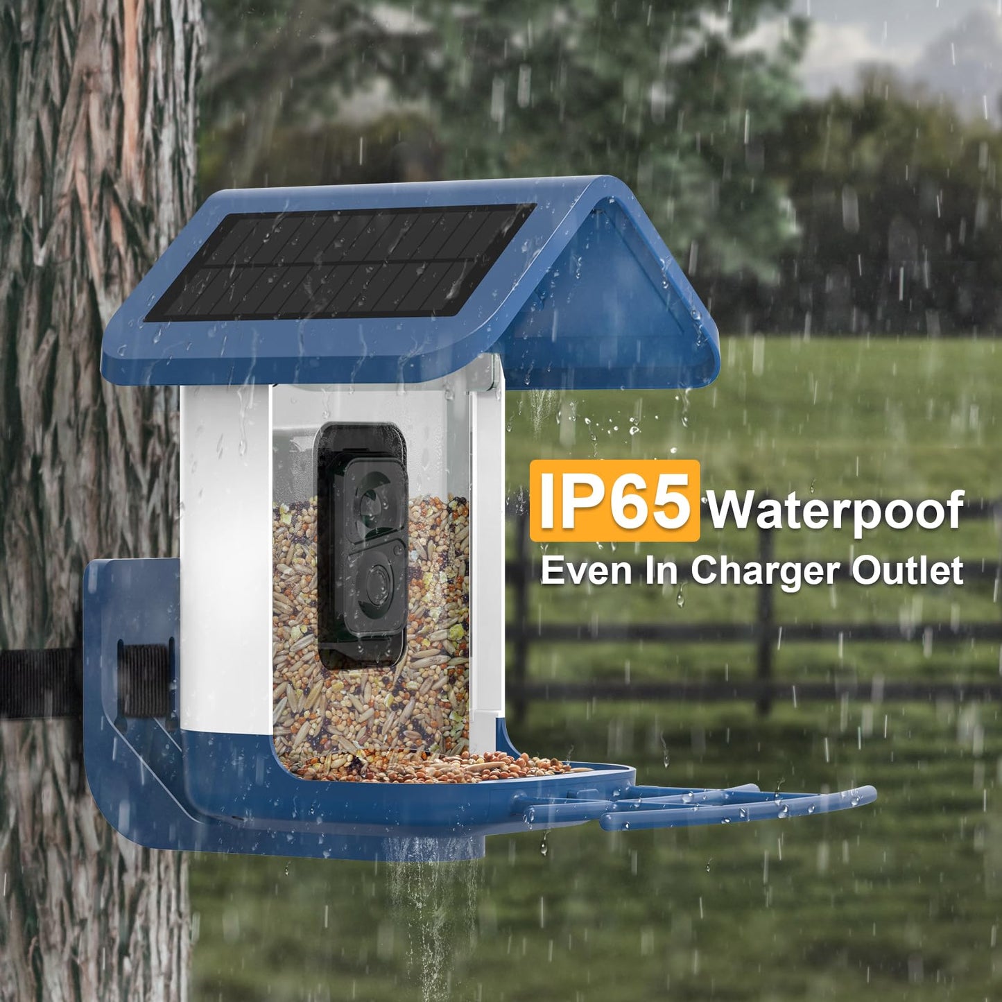 Bird Feeder with Camera Solar Powered : Smart Camera Bird Feeder 2K Live Feed Cam for Outdoor Backyard - Ai Identify Auto Capture Videos Pictures, Gifts for Birdlover Mom Dad, 2.6GHz WiFi