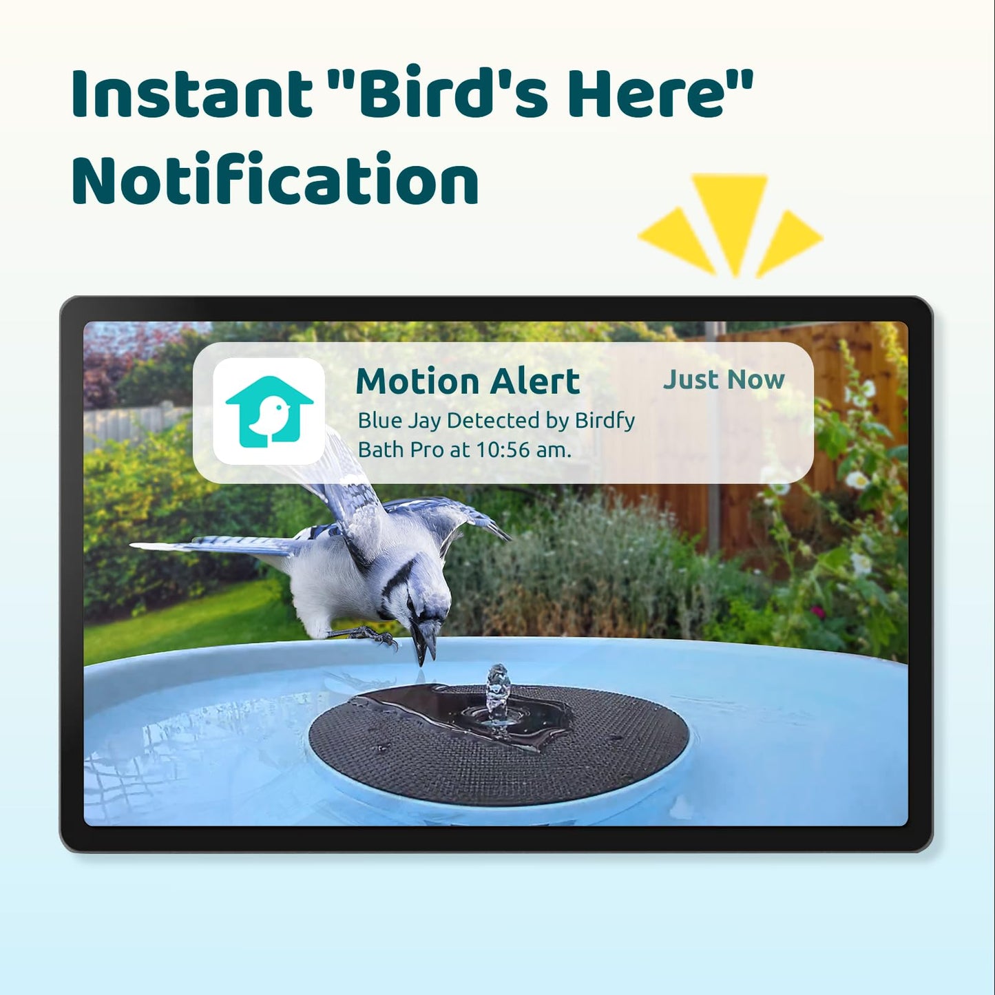 Birdfy Smart Bird Bath with Camera Solar Powered & Fountain, Dual-Lens Camera for Wildbird Watching, Auto Capture Bird Videos & Motion Detection - AI by Subscription (Blue)
