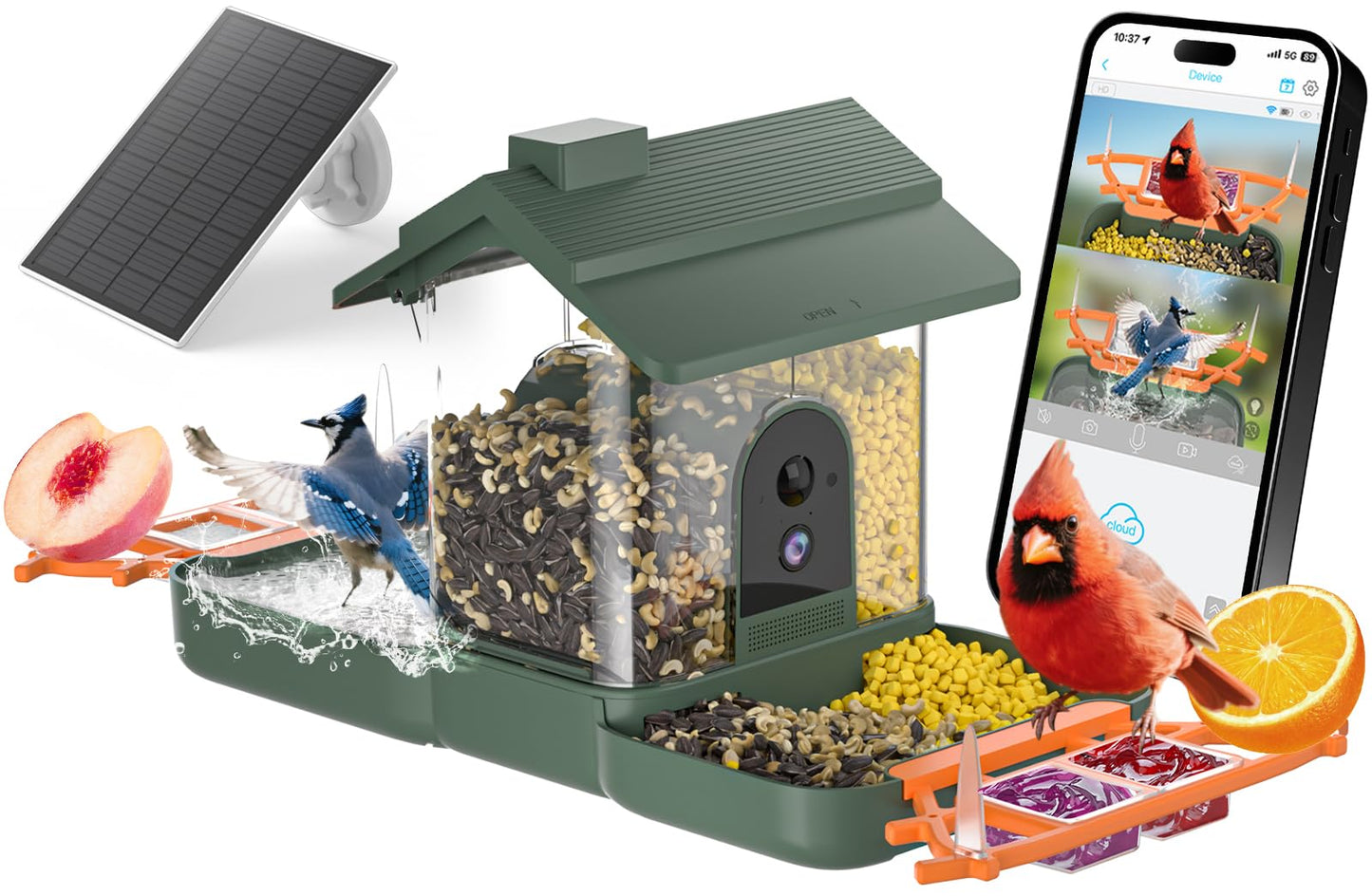 2-in-1 Bird Bath and Bird Feeder with Cameras Solar Powered 2K Dual Cameras Birds Feeder and Bath for Outside Yard Garden, Gift for Dad Mom Kids (Dark Green + Orange)
