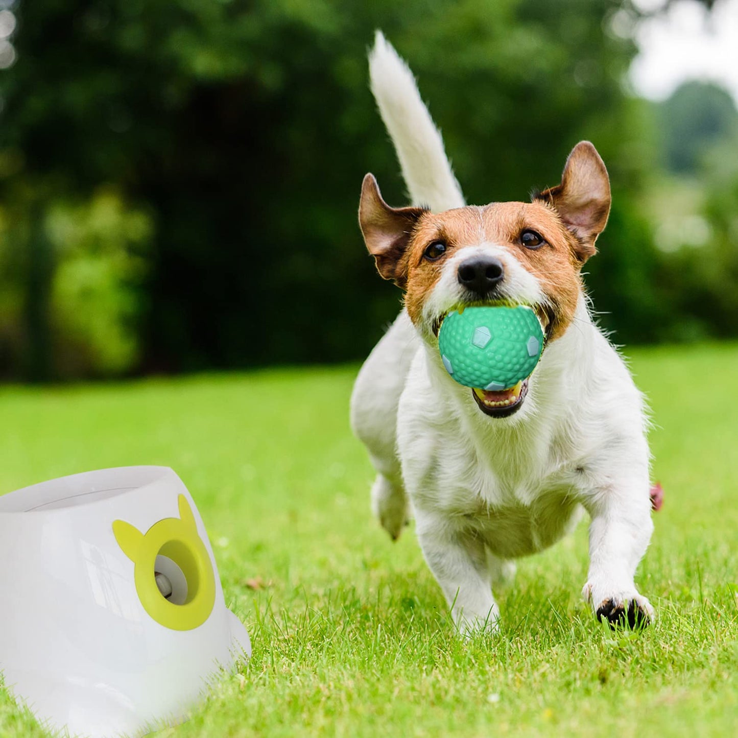 BESTHLS Automatic Dog Ball Launcher & 22pcs 2inch Tennis/Rubber Ball for Small Medium Dogs Fetching Distance 10-30ft (Purple)