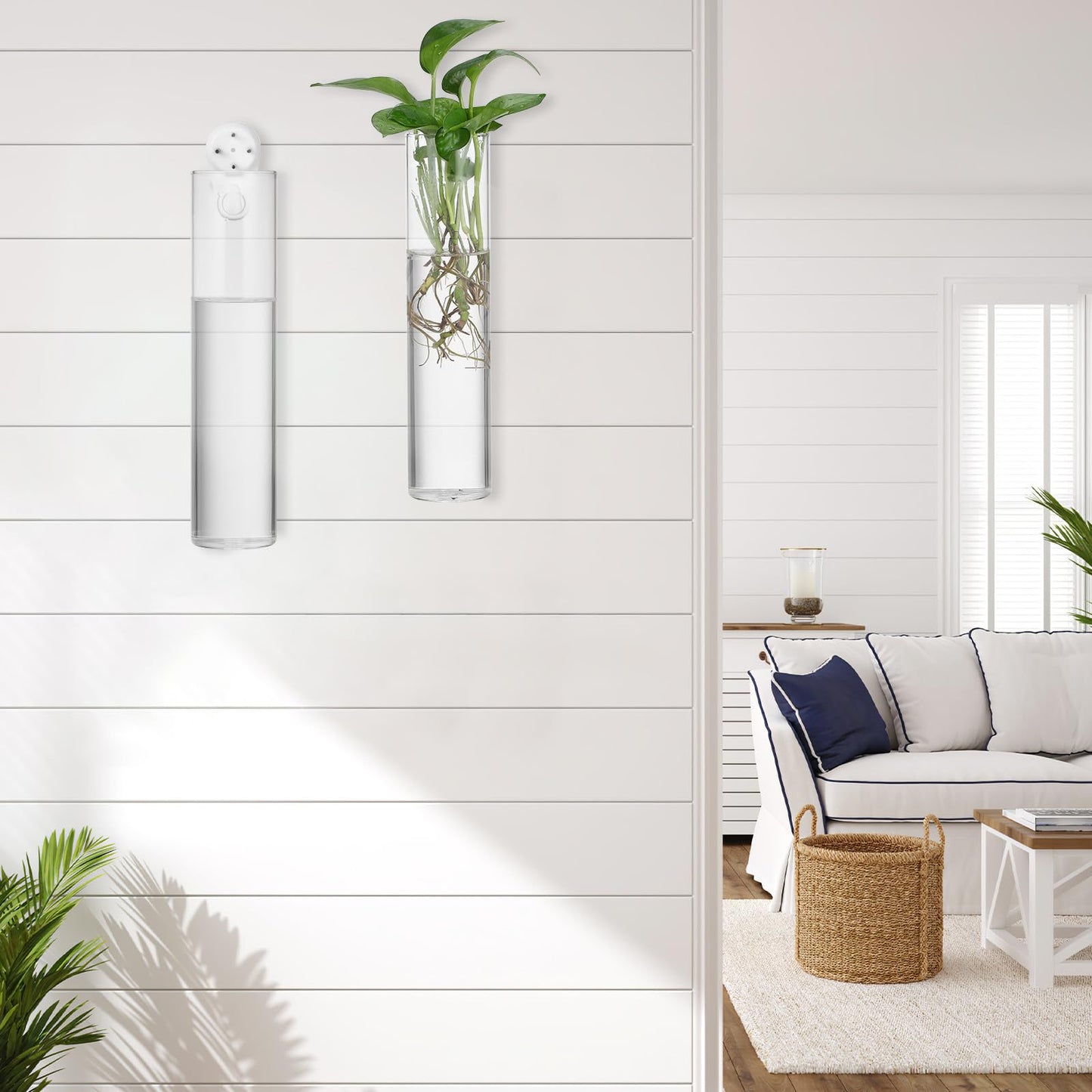 MAGICLULU Wall Mounted Glass Propagation Station Vase for Indoor Plants, Large Cylinder Hanging Planter, Hydroponic Plant Holder, 2pcs for Home Décor and Terrarium Display