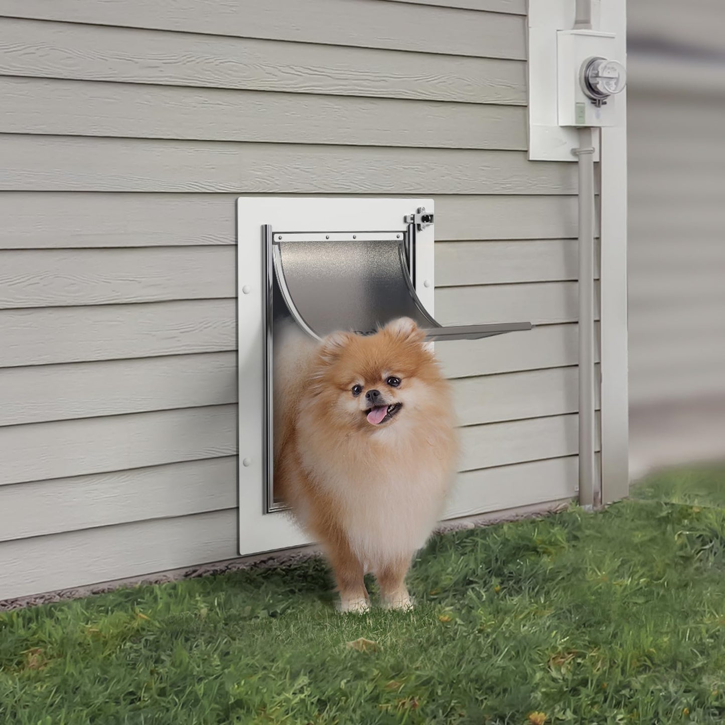 Baboni Pet Door for Wall, Steel Frame and Telescoping Tunnel, Aluminum Lock, Double Flap Dog Door and Cat Door, Strong and Durable (Pets Up to 40 Lb) -Medium