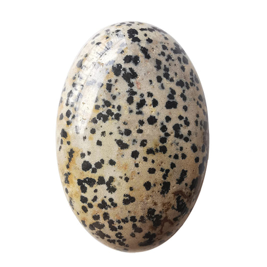 Loveliome Natural Dalmation Jasper Oval Polished Worry Stones, Healing Crystal Indoor Fountain Stones Massage Energy Anxiety Relief Items