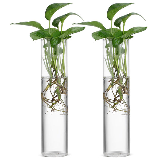HOLIDYOYO Wall Hanging Glass Cylinder Vases Set of 2, Large Propagation Stations for Hydroponic Plants, Glass Terrariums for Indoor Plant Display and Home Décor