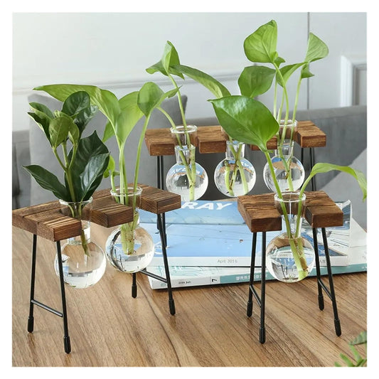 Vintage Bonsai Flower Pot Hydroponic Plant Vases Glass Vase Terrarium Tabletop Tray Wooden Frame Home Decor(Single Bottle)