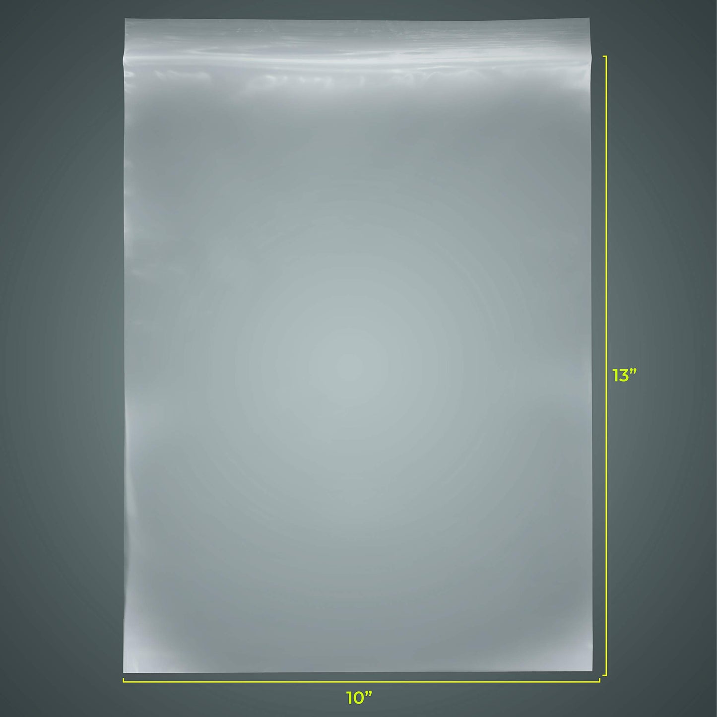 SNL Quality Zipper Lock Reclosable Clear Disposable Plastic Bags, Strong | 10" X 13" - 2 MIL - 100 Bags