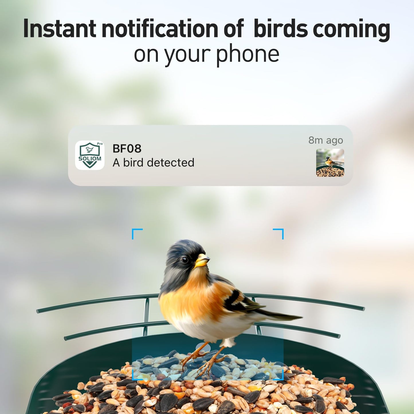 SOLIOM Smart Bird Feeder with Camera for Outdoors, Durable Metal Solar AI Birdhouse, 2K Live View & Instant Alerts, Squirrel-Proof – Complete Bird Watching Gift Set(Red)