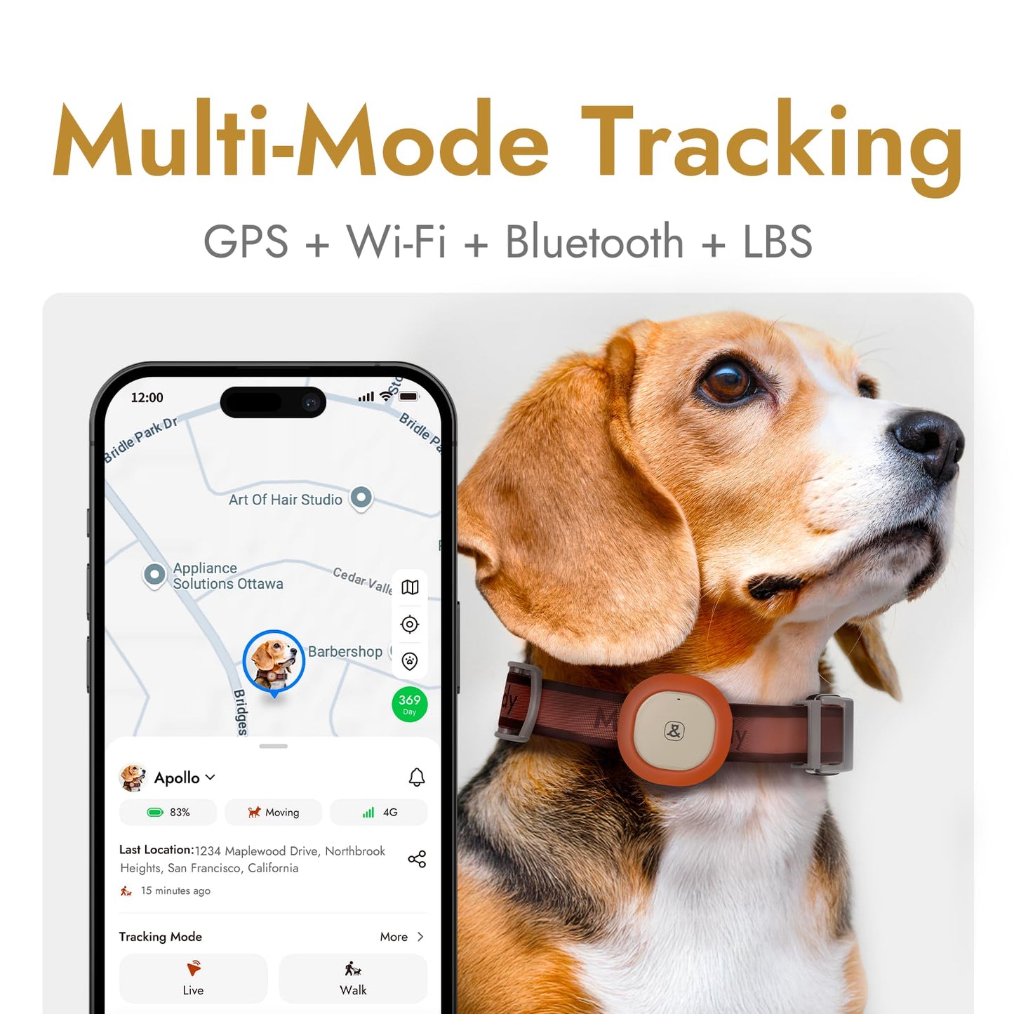 Automatic Dog Feeder for Large Dogs, 14L Capacity, 2.4G WiFi App Control, Dual Power Supply, Stainless Steel Bowl, and Molly&Cody GPS + Bluetooth Pet Tracker for Cats & Dogs – Real‑Time Tracking