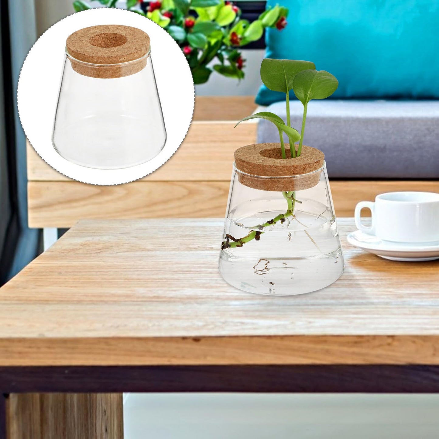 BESPORTBLE Glass Hydroponic Planter Vase 2pcs, 6.5cm Mouth Diameter Glass Plant Pots for Indoor Garden Decoration and Desktop Plant Propagation, Home Office Terrarium Environment