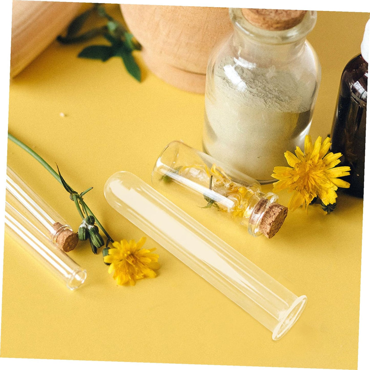 HEALEEP Glass Test Tubes for Plant Propagation 5pcs 2.5x3x15cm Hydroponic Floral Vase Glass Tubes for Small Terrarium Plants and Home Décor