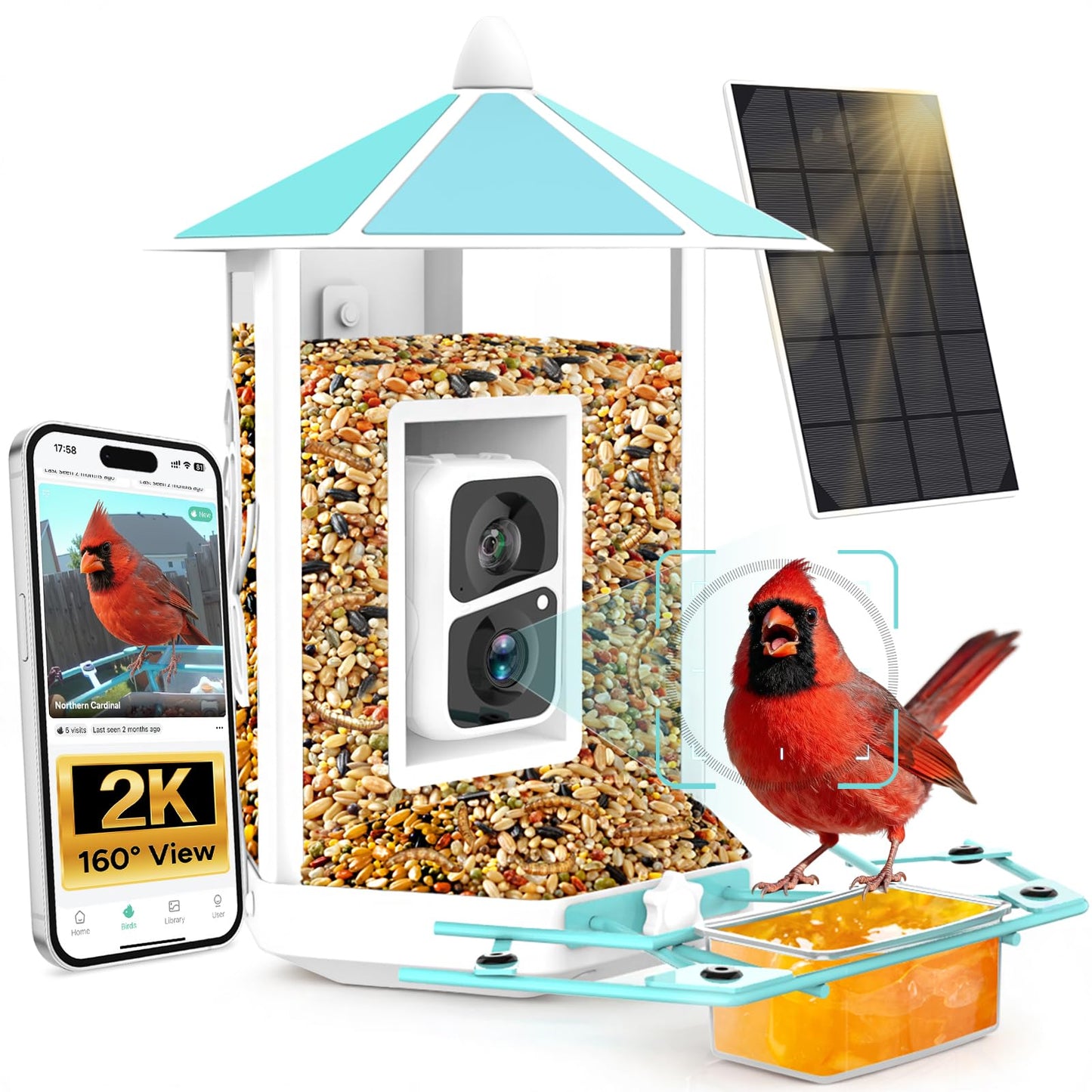 Bird Feeder with Camera - All-Metal Chewproof Smart Camera Bird Feeder Solar Powered, 2K Live Stream for Outdoor，AI Identify Auto Capture Videos, Weatherproof Heavy Duty, Gifts for Mom Dad