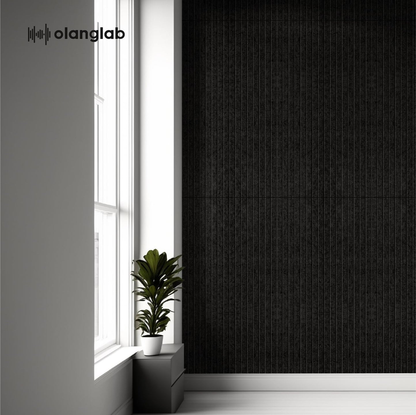 Olanglab Acoustic Wall Panels 10 Pack, 48 x 24 per Acoustic Panels Sound Absorbing, Decorative Sound Panels for Home Studio and Office, Black