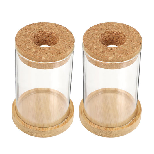 jojofuny 2pcs Glass Planter Vases for Hydroponics Plants 6.5x10in Desktop Terrarium with Stand Set for Home Office Gardening