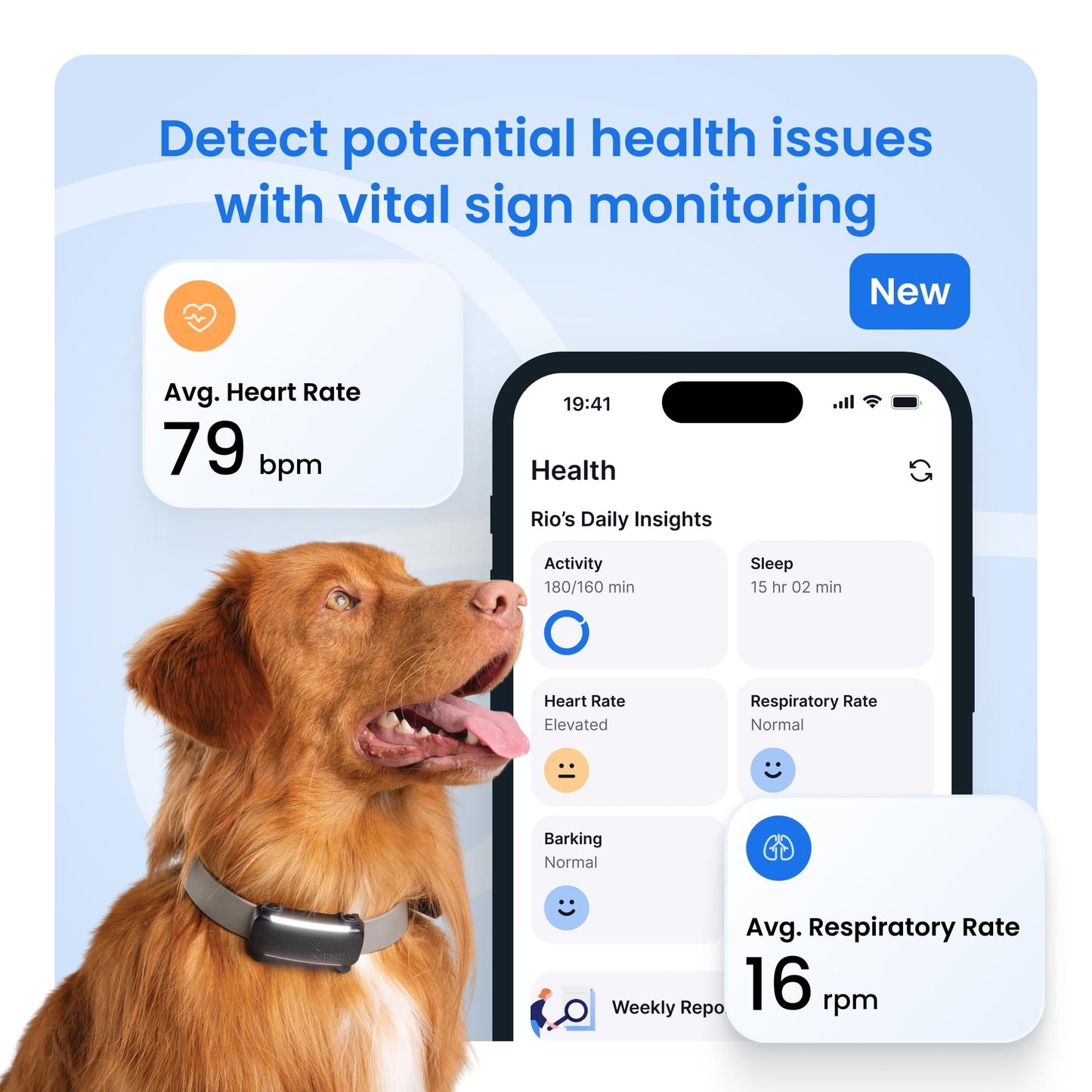Tractive Smart Dog GPS Tracker | Live Pet Tracker with Virtual Fence | Vital Signs Monitoring of Heart & Respiratory Rate | Bark Monitoring | Dog Collar Attachment (Bundle of 2, Black & Brown)