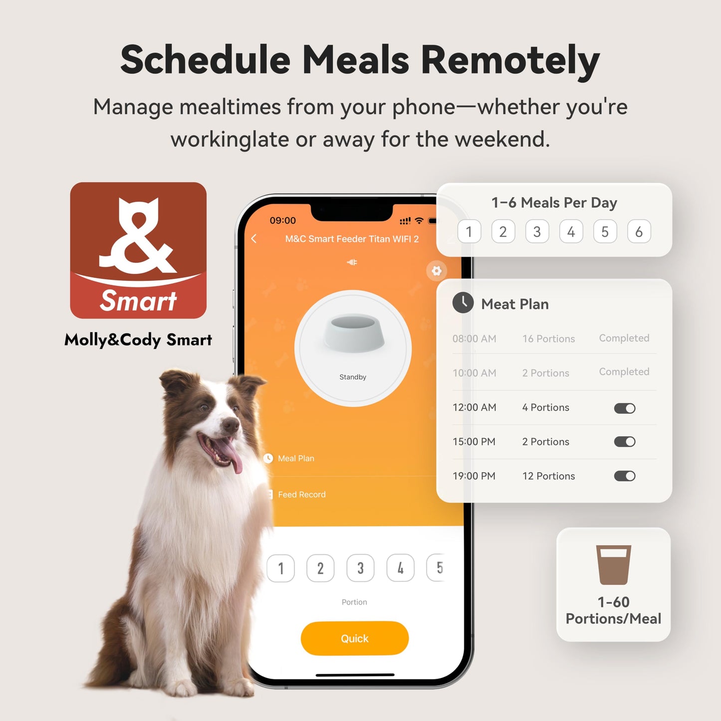 Automatic Dog Feeder for Large Dogs, 14L Capacity, 2.4G WiFi App Control, Dual Power Supply, Stainless Steel Bowl, and Molly&Cody GPS + Bluetooth Pet Tracker for Cats & Dogs – Real‑Time Tracking