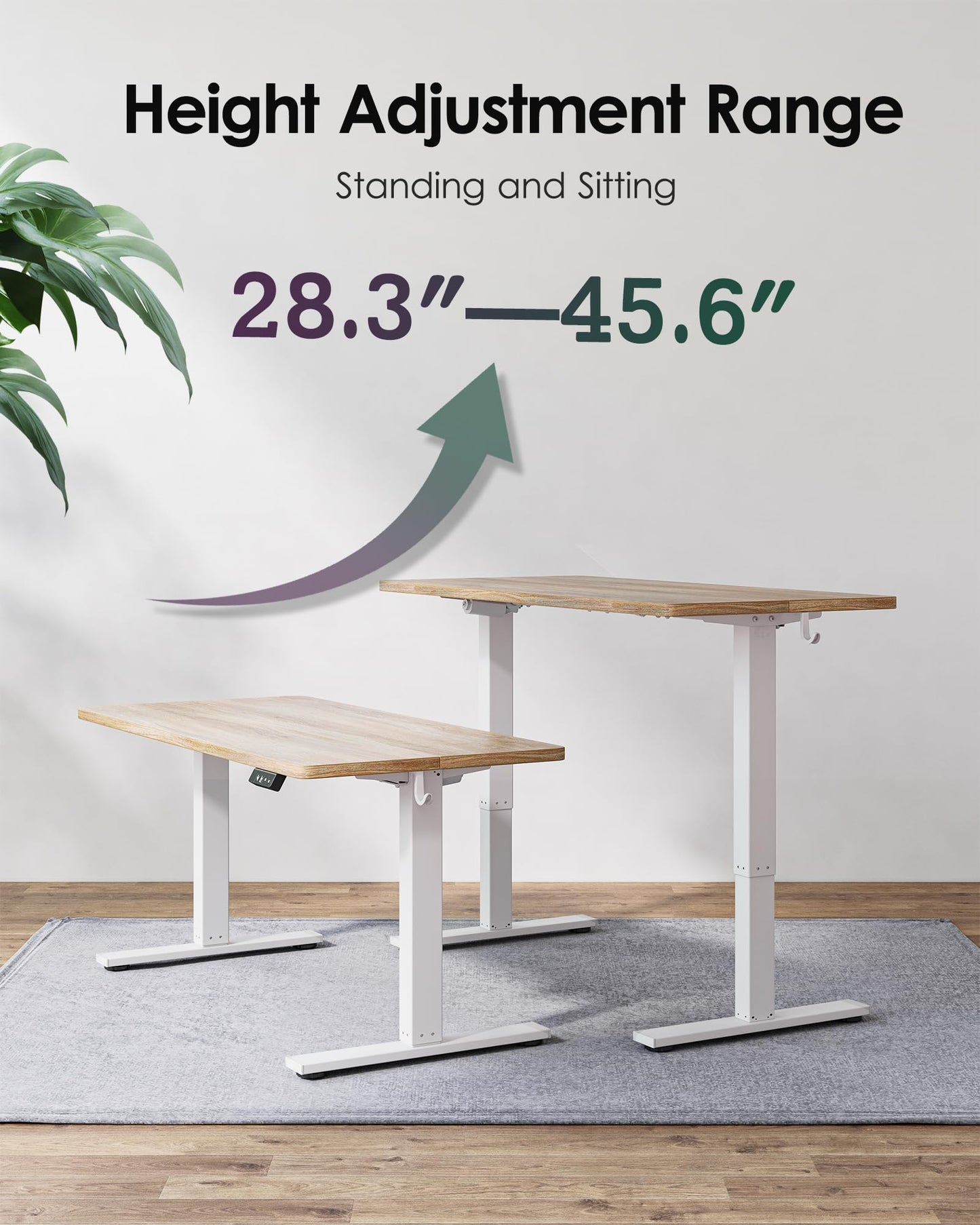 TIQLAB Electric Height Adjustable Standing Desk 47.2×23.6 inch, Sit Stand Desk with Splice Board, Memory Controller, White Frame & Maple Top Computer Workstation for Home Office